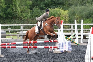 Class 5 - Fences not above 2'6